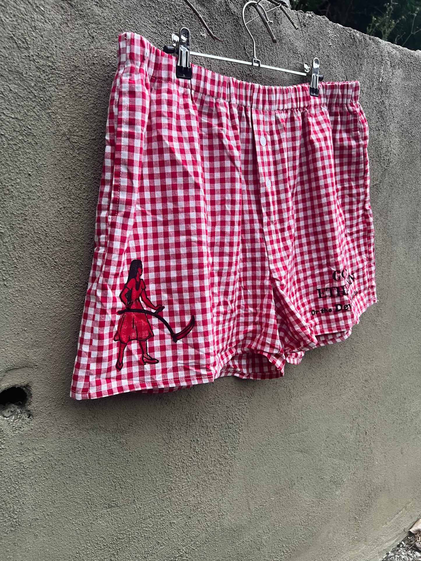 Go See Ethel Cain or the Devil Will Get You - Red Gingham Shorts