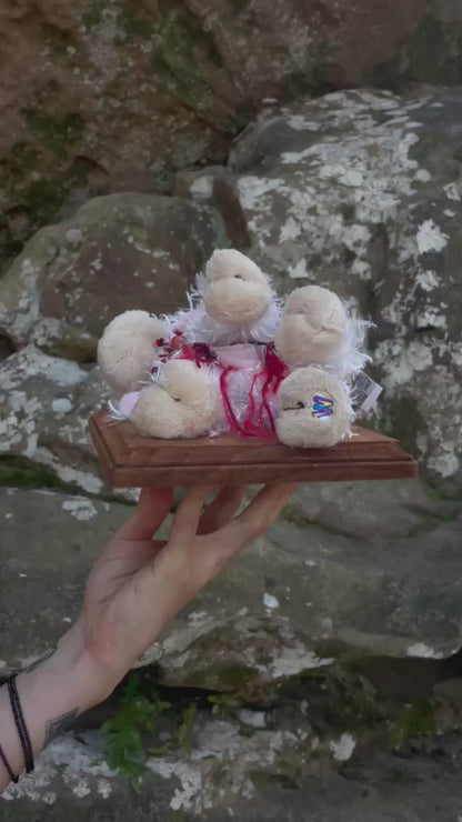 Webkinz Lamb - Vegan Taxidermy